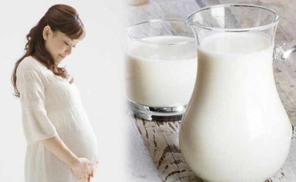3 Tháng Đầu Thai Kỳ Lựa Chọn Sữa Bà Bầu Như Thế Nào
