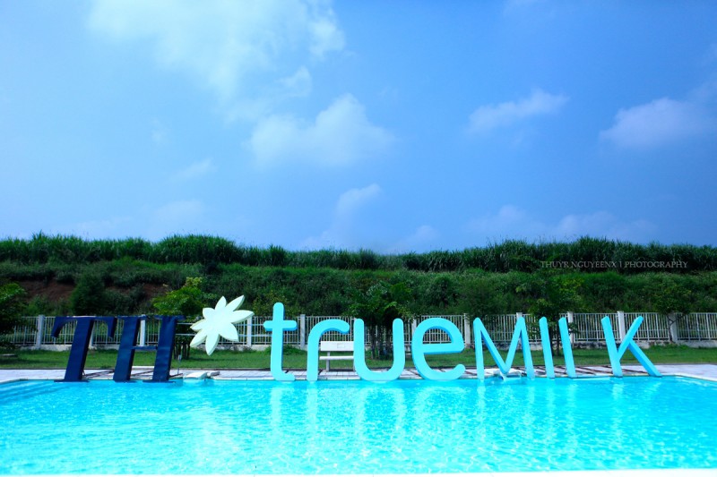 Tìm hiểu về các nhà sản xuất sữa ở Việt Nam