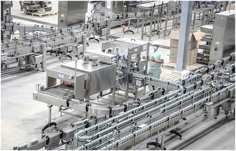 Ưu nhược điểm của sữa và các sản phẩm từ sữa