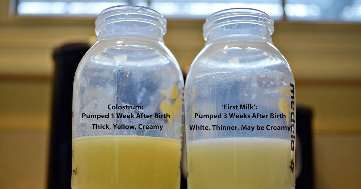 Sản xuất sữa mẹ