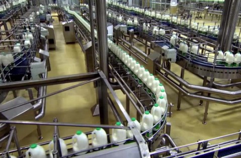 Nhà máy gia công sản xuất sữa